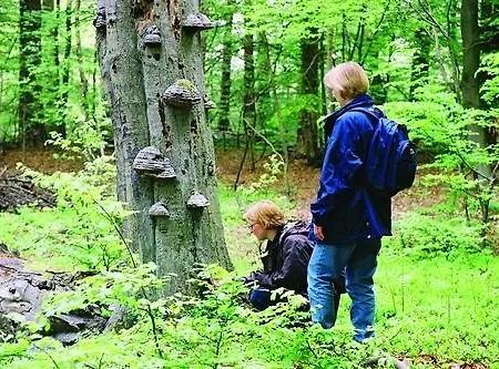 Hotel Zur Scheune Röbel
