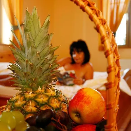 Hotel Zur Scheune 3*